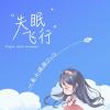 失眠飞行歌词 - 一条小团团OvO