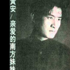 陪着我流浪歌词 - 黄安
