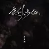 爱似水仙歌词 - 苏星婕 温柔女声版