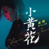 小黄花 歌词 - 花姐