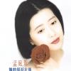 羞答答的玫瑰静悄悄地开 歌词 - 孟庭苇