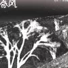毛毛细雨里捂蚂蚱 歌词 - 苏阳 / 张佳乐