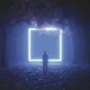 孤独的马帮歌词 - 王琪