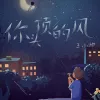 你头顶的风 歌词 - 王小帅