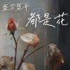 光盛开不盛开都是花歌词 - 何雅楠