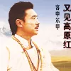 又见高原红 歌词 - 容中尔甲