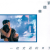 一起走过的日子歌词 - 刘德华 电影《至尊无上Ⅱ之永霸天下》主题曲