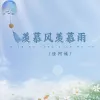 羡慕风羡慕雨歌词 - 怪阿姨