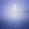  触摸歌词 -  王忻辰