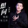  想问情深有几许 歌词 - 刘晓超