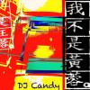 我不是黄蓉 歌词 - 王蓉