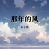 那年的风 歌词 - 木子琪