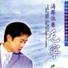 涛声依旧 歌词 - 毛宁