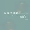 新欢渡旧爱 歌词 - 黄静美