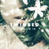 Trouble I'm In 歌词 - Twinbed