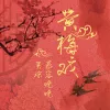  黄梅戏 歌词 - 慕容晓晓