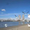 两两相望 歌词 - 梁磊