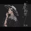  相思的雪 歌词 - 沈末