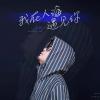 我在人海遇见你 歌词 - 王韵