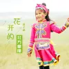 花开的北方草原 歌词 - 黄子涵(美美)