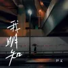 我明知 歌词 - 尹又