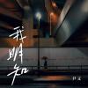 我明知 歌词 - 尹又
