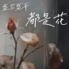 盛不盛开都是花 歌词 - 何雅楠