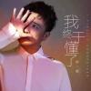 我终于懂了 歌词 - 贺一航
