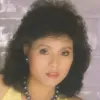 爱人跟人走 歌词 - 陈小云