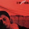 多少柔情多少泪 歌词 - 王杰