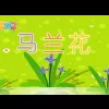 马兰花 歌词 - 儿歌
