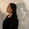 半辈子 歌词 - 小玟子