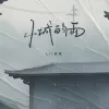 小城的雨