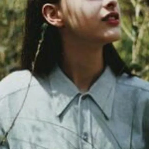 去有风的地方歌词 - 何以啊