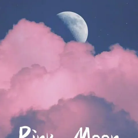 粉色星球歌词 - Youngior