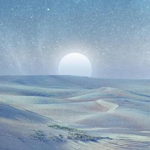 暖场嘉宾歌词 - 王唯一（九姨太）