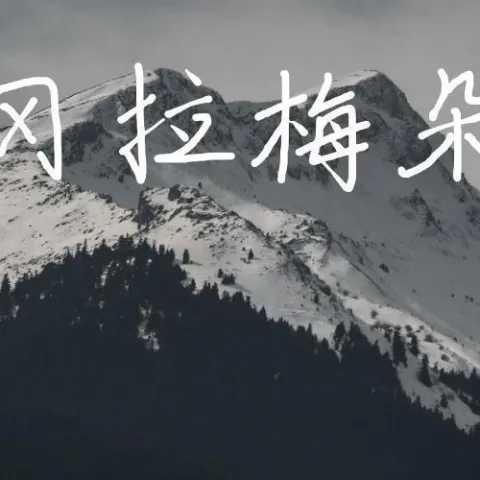 冈拉梅朵歌词 - 才昂仁增