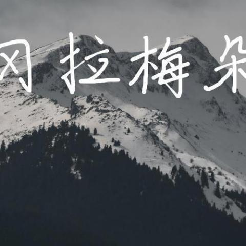 冈拉梅朵歌词 - 才昂仁增