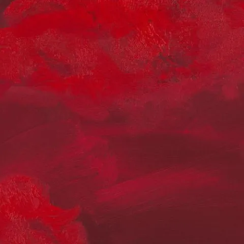 Paint The Town Red 歌词 - Doja Cat