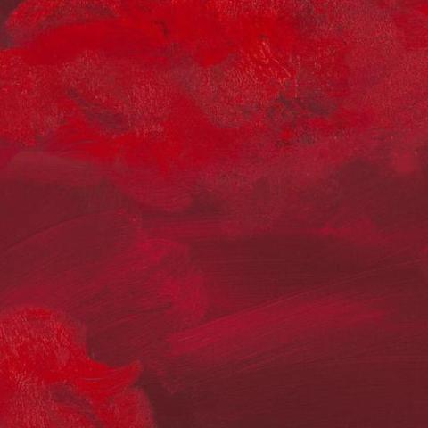 Paint The Town Red 歌词 - Doja Cat