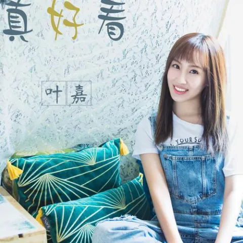 你笑起来真好看歌词 - 叶嘉