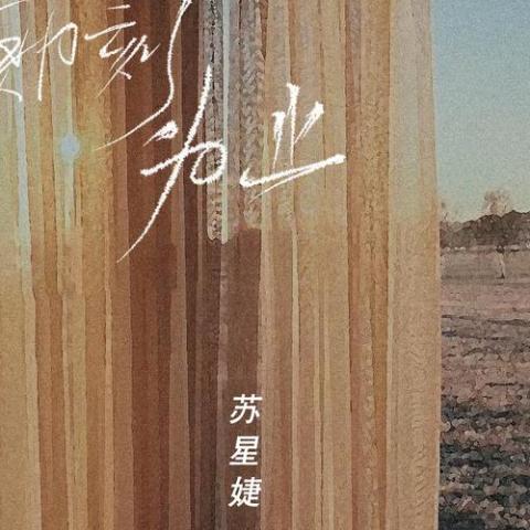 即刻为止歌词 - 苏星婕