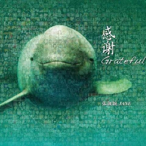 好不容易歌词 -  张靓颖