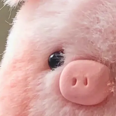 勇气大爆发歌词 - 童童只会嘤嘤