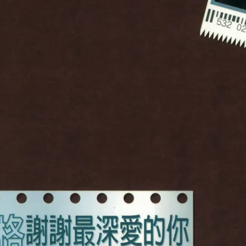 那一段日子歌词 - 童安格