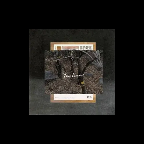 你的答案歌词 - 阿冗