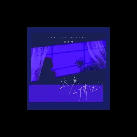 迟来的情话歌词 - 张家旺
