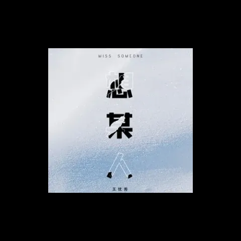 想某人 歌词 - 王优秀