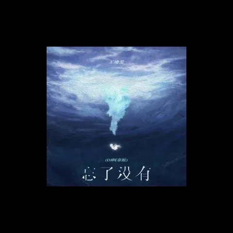 忘了没有歌词 - 王靖雯