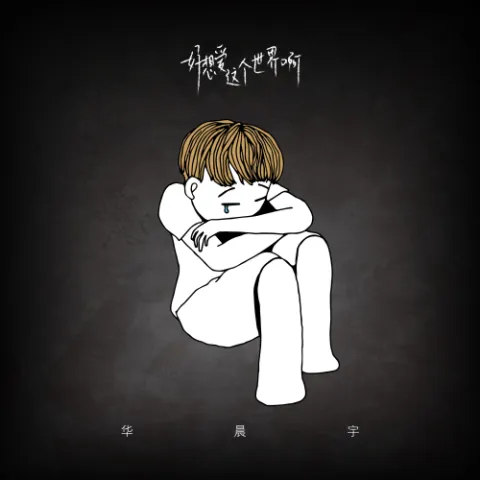 好想爱这个世界啊 歌词 - 华晨宇
